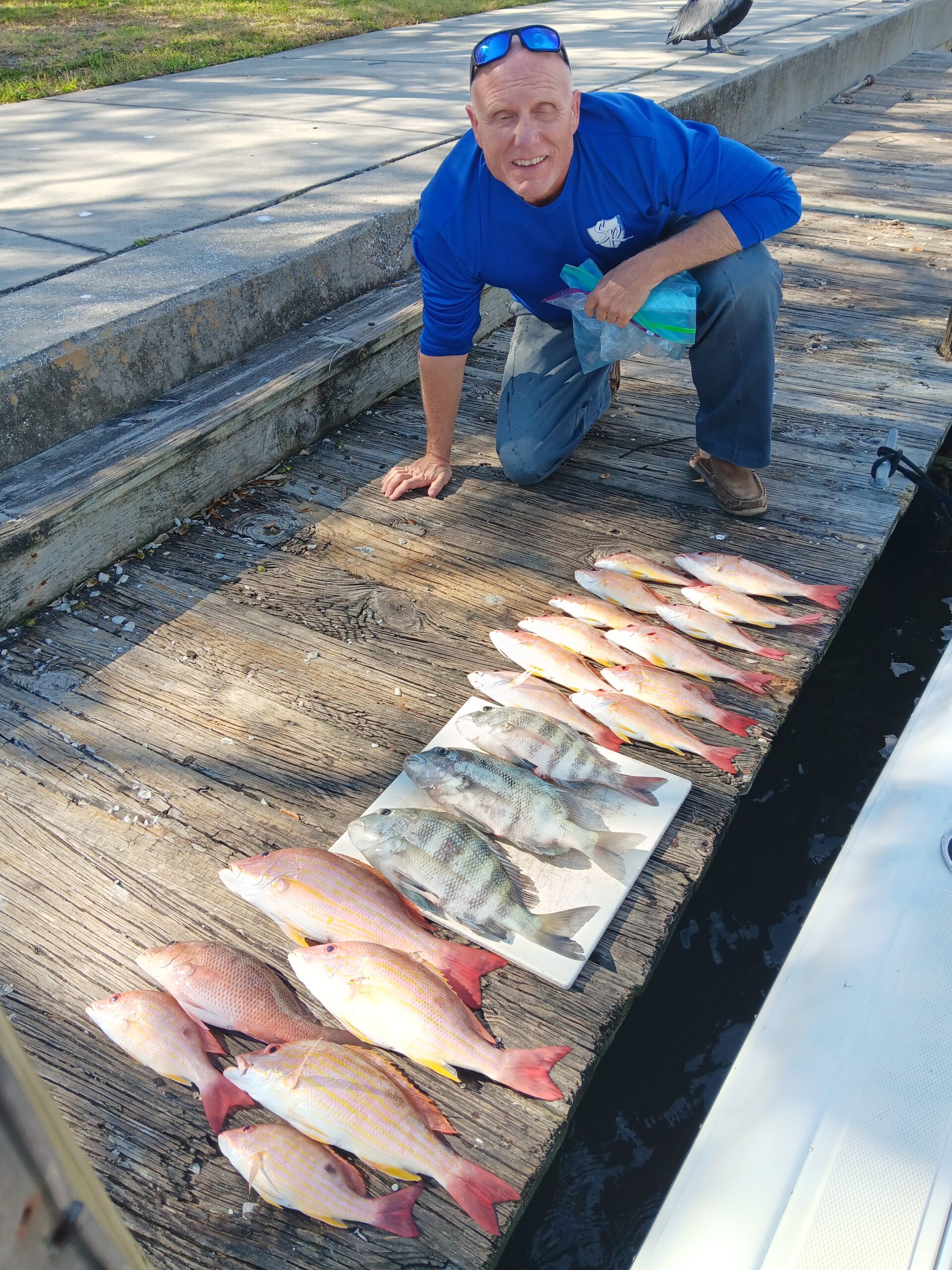 a guy posing with a variety of saltwater fish on a dock